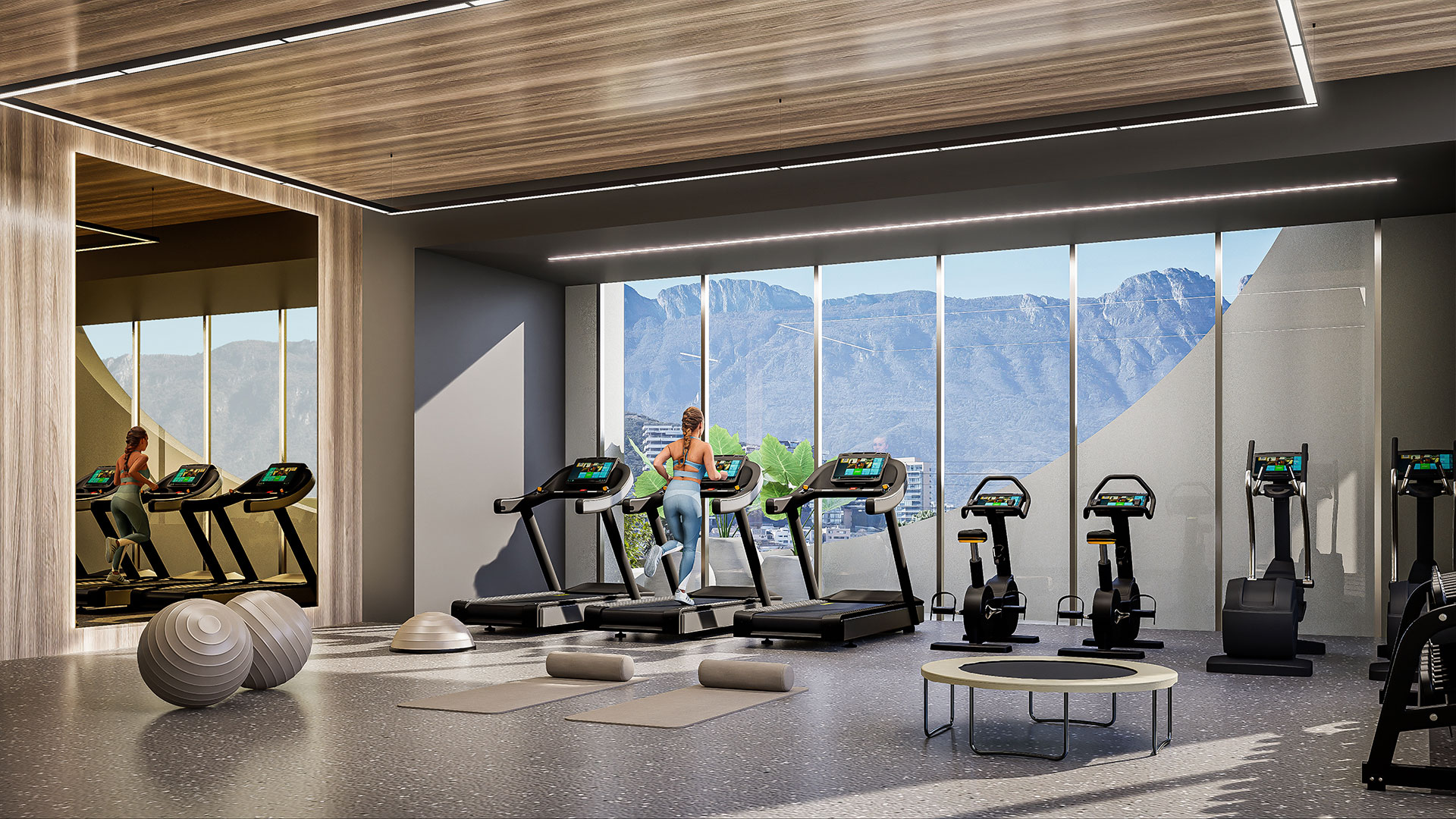 Gym-ania